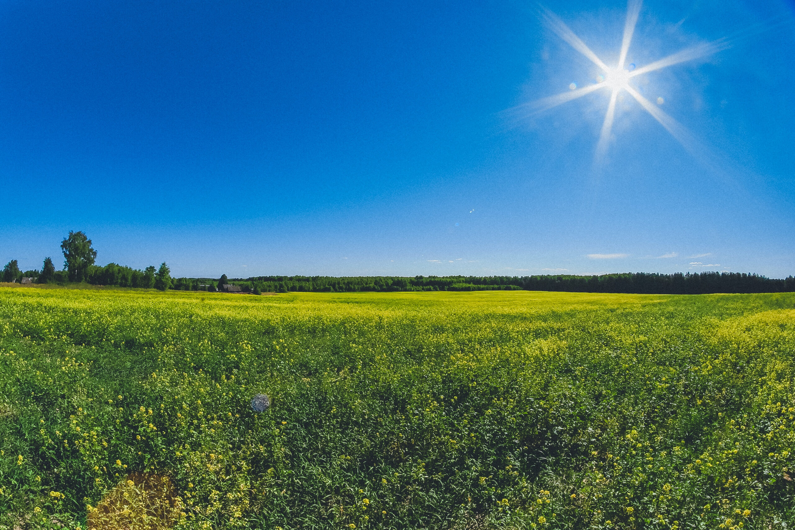 What’s your biggest concern heading into summer 2025?